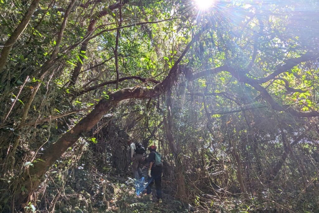 du lịch okinawa