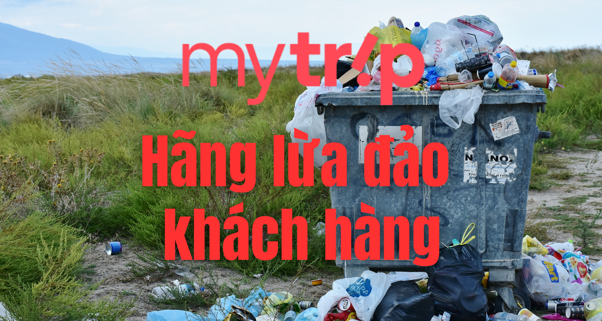 MyTrip Hãng Đặt Vé Máy Bay Lừa Đảo Và Những Chiêu Trò Bẩn Kiếm Tiền Bất Chính